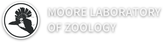 Zoological full-text articles